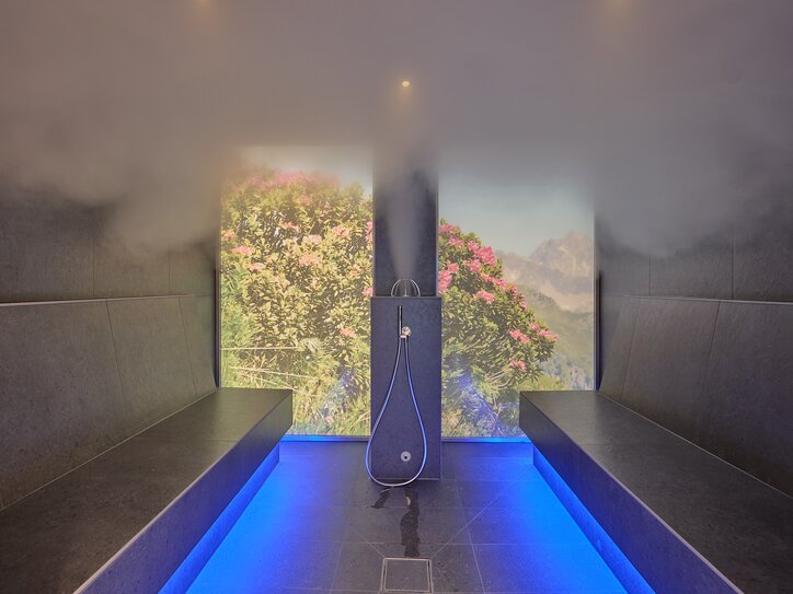 Steam room with dark benches, blue lighting, and nature mural on the wall